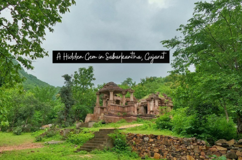 Exploring the Enchanting Polo Forest