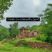 Exploring the Enchanting Polo Forest